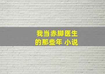 我当赤脚医生的那些年 小说